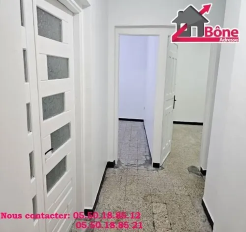 Location Appartement F3 Annaba Annaba