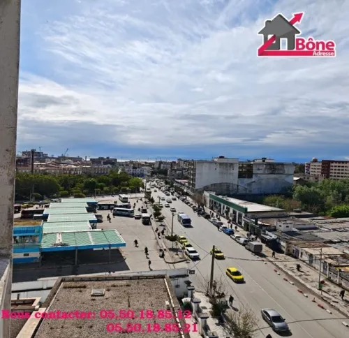 Vente Appartement F4 Annaba Annaba