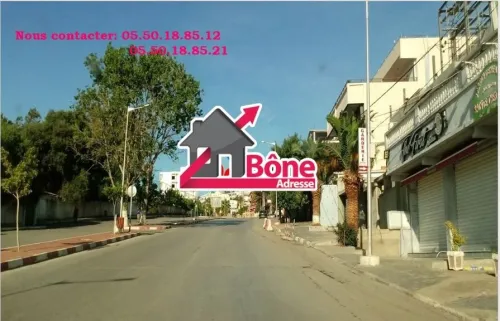 Location Appartement Niveau de villa F4 Annaba Annaba
