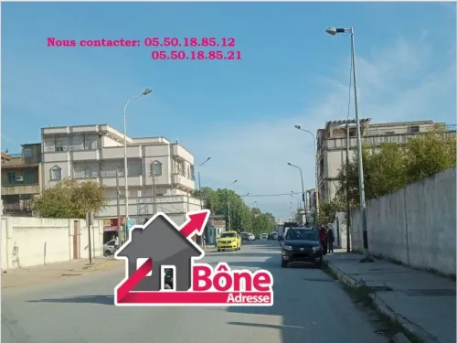 Vente Local Annaba Annaba