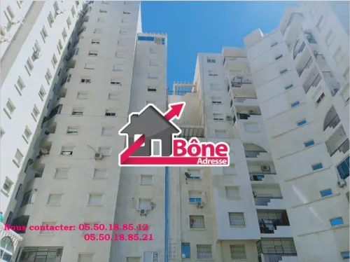 Cherche achat Appartement Annaba Annaba