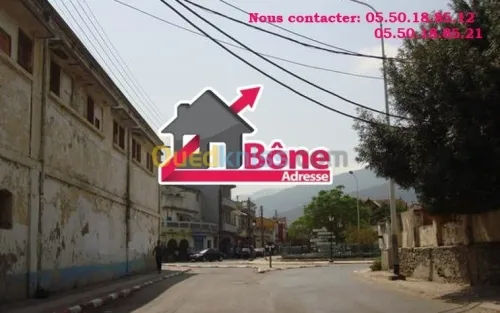 Location Hangar - Usine Annaba Annaba
