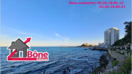 Vente Appartement F4 Annaba Annaba