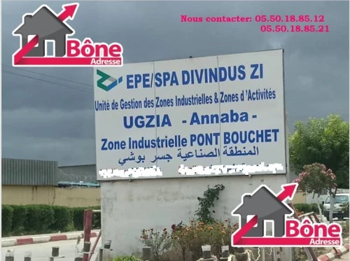 Vente Hangar - Usine Annaba El hadjar