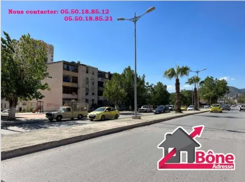 Vente Appartement F3 Annaba Annaba