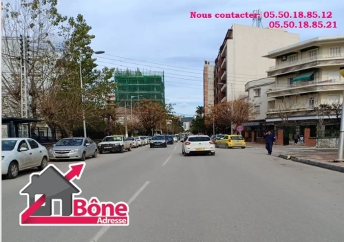 Vente Appartement Niveau de villa F4 Annaba Annaba