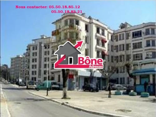 Location Appartement F2 Annaba Annaba