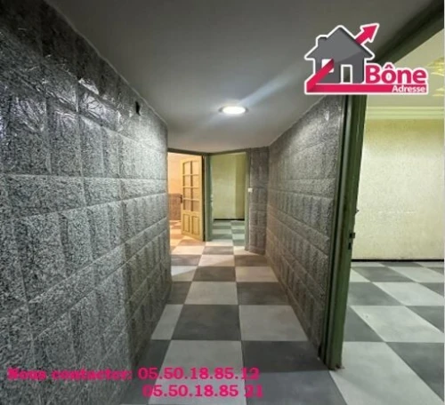 Location Appartement F2 Annaba Annaba