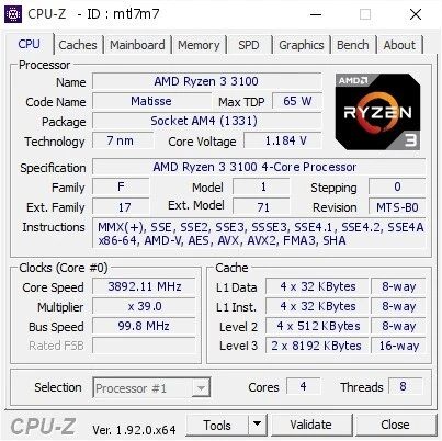 rayzen 3 3100 try