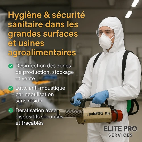 Opérations 3D en action : désinfection, démoustication, dératisation