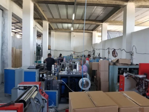 Vente Hangar - Usine Tipaza Kolea