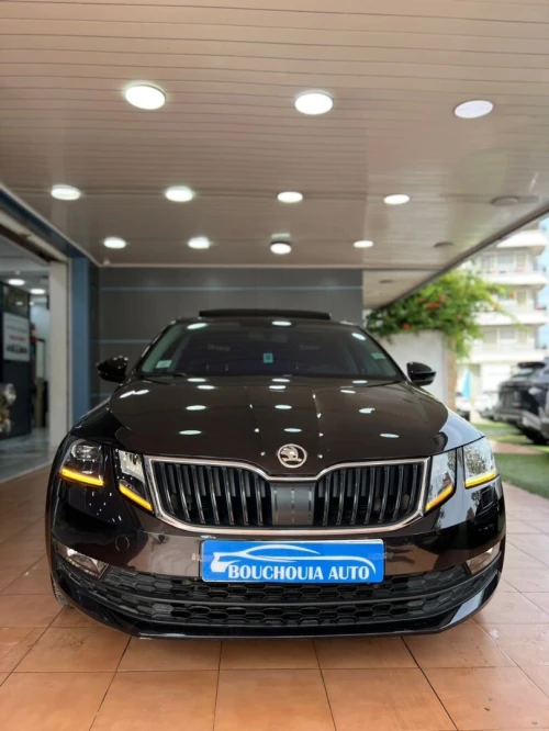 Skoda Octavia 2019 Elegance DGS