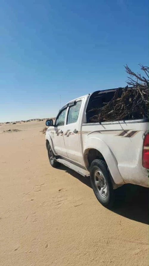 Toyota Hilux 2008 Hilux