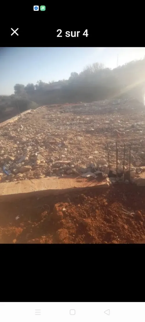 Vente Terrain Relizane Mazouna