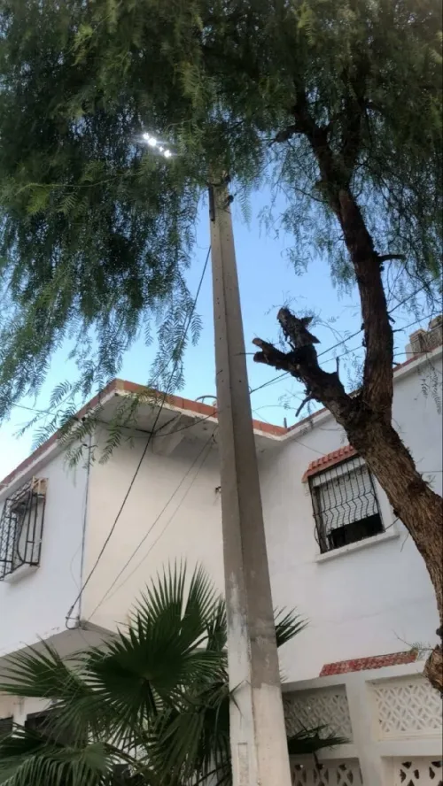 Vente Villa Oum El Bouaghi Oum el bouaghi