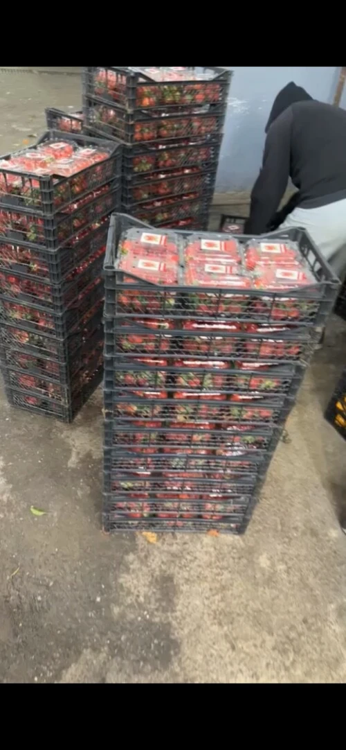 Vente en gros de produits alimentaires 