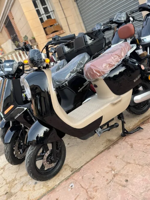 Niu scooter Walido 2025