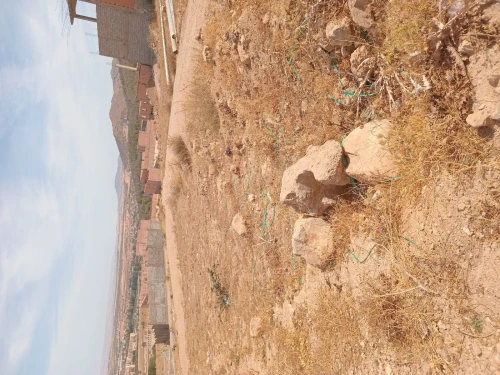 Vente Terrain Tlemcen Tlemcen