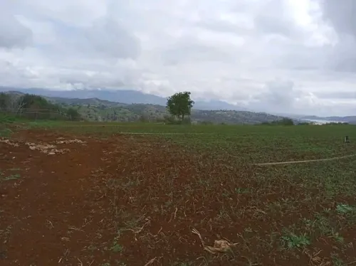 Vente Terrain Bouira El asnam