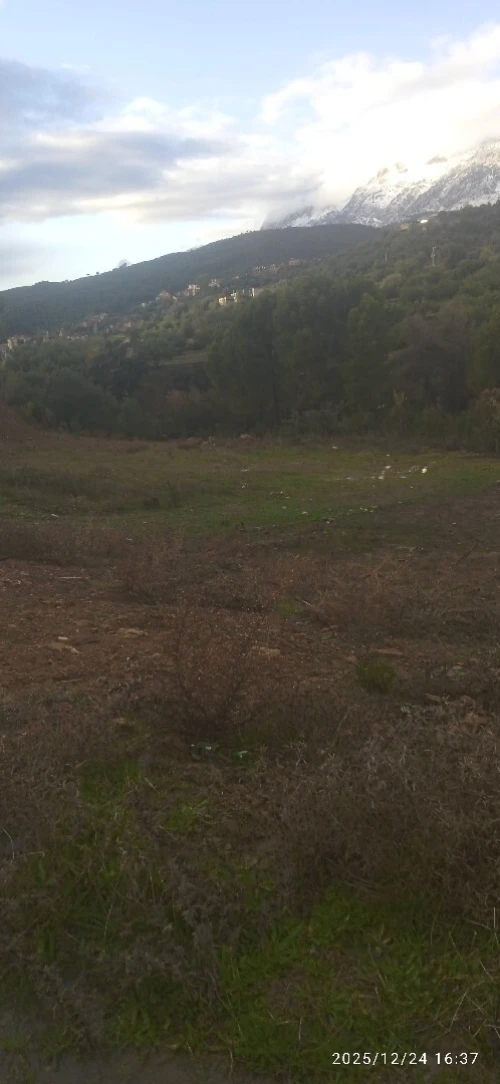 Vente Terrain Bouira Haizer