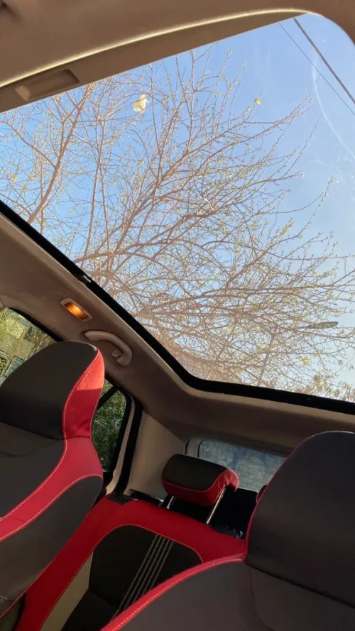 Skoda Fabia 2017 Monte Carlo
