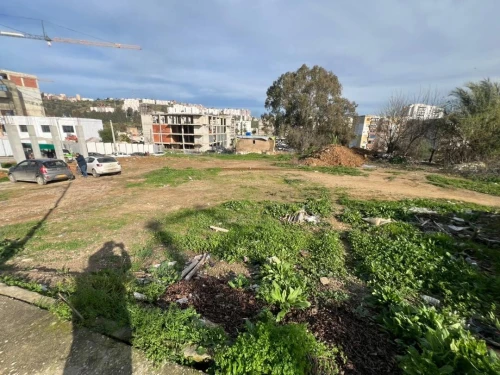 Vente Terrain Skikda Skikda