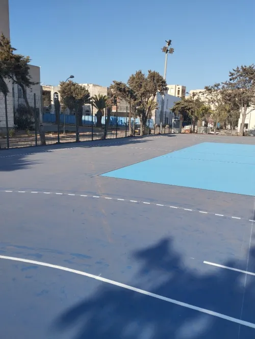 Revêtement terrain de sport et salle en sols sportifs gomme synthétique acrylique epdm tapis 