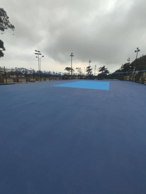 Revêtement terrain de sport et salle en sols sportifs gomme synthétique acrylique epdm tapis 