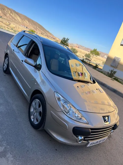 Peugeot 307 2007 Sw IRB