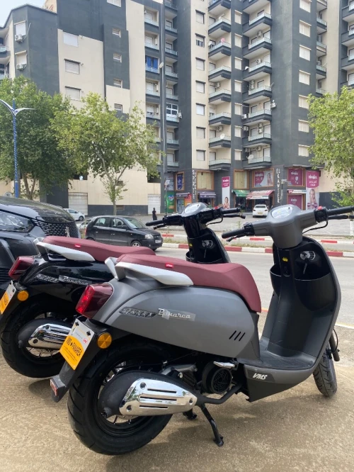 benelli panaria 2026