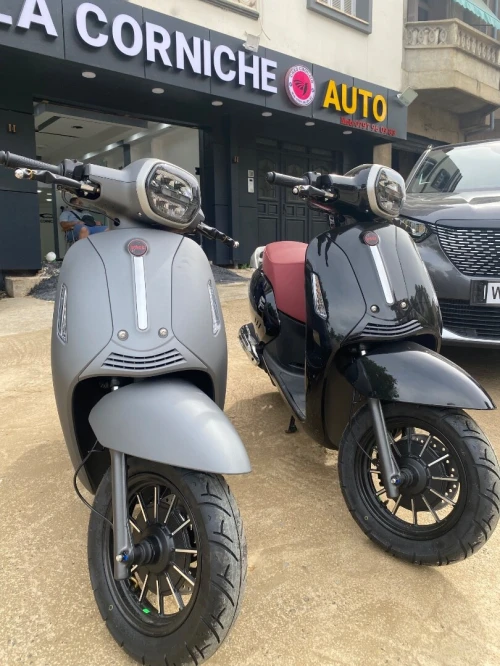 benelli panaria 2026