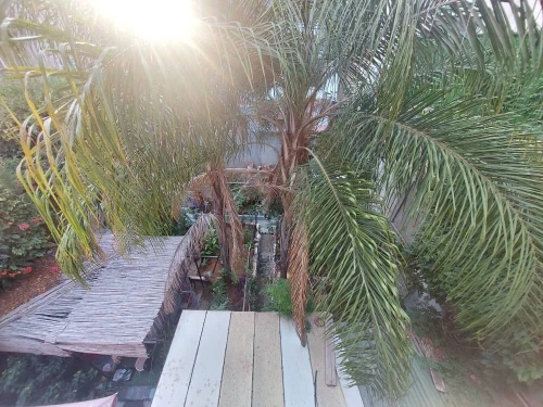 Vente Villa Alger Birkhadem