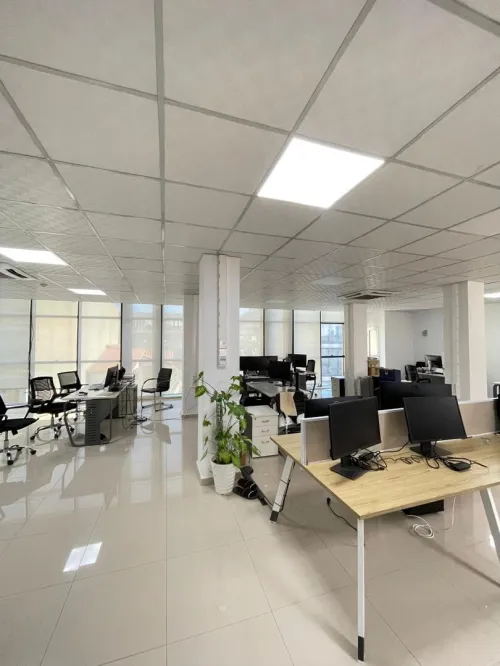Location Immeuble Alger Dely brahim