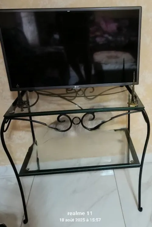 Salon en fer forgé