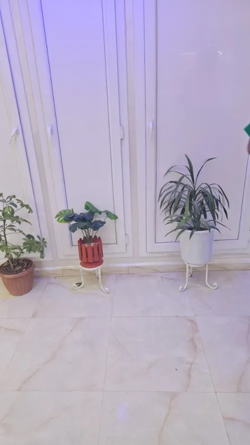 Vente Appartement F3 Alger Bab ezzouar