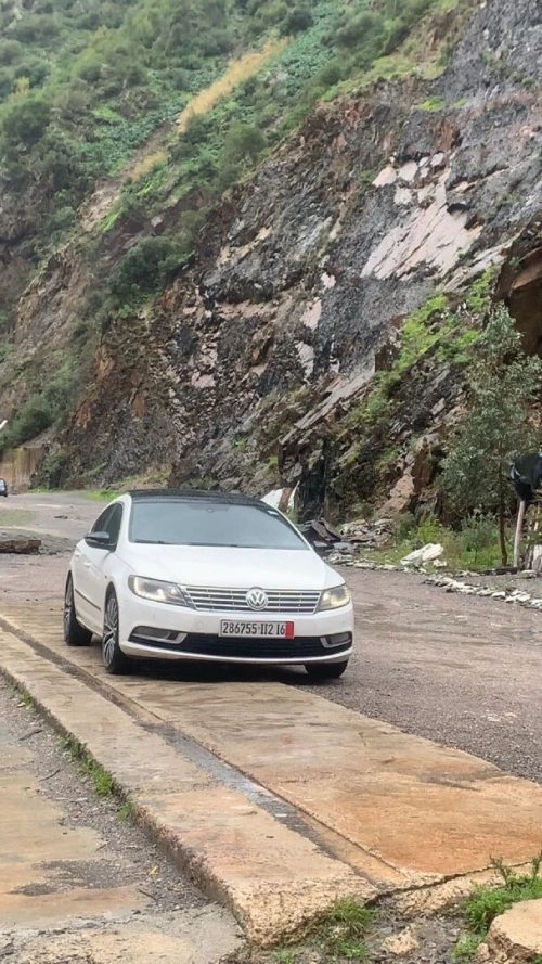 Volkswagen Passat CC 2012 Passat CC