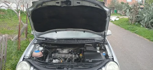 Volkswagen Polo 2005 Polo