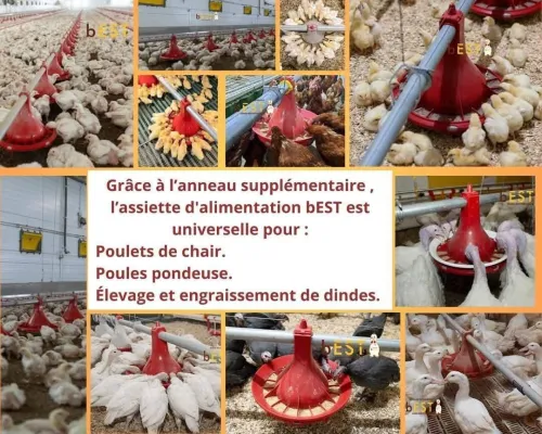 Votre partenaire de confiance en équipements avicoles.