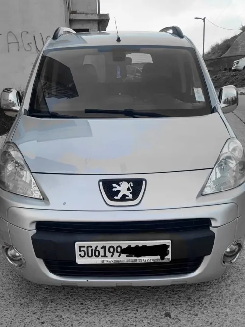 Peugeot Partner 2010 Tepee