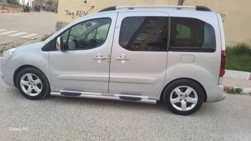 Peugeot Partner 2010 Tepee