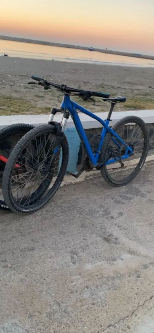 specialized Vélo 