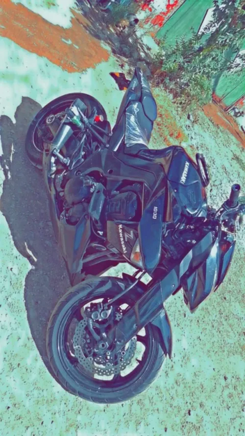 Kawasaki Z1000 sauvage 2012