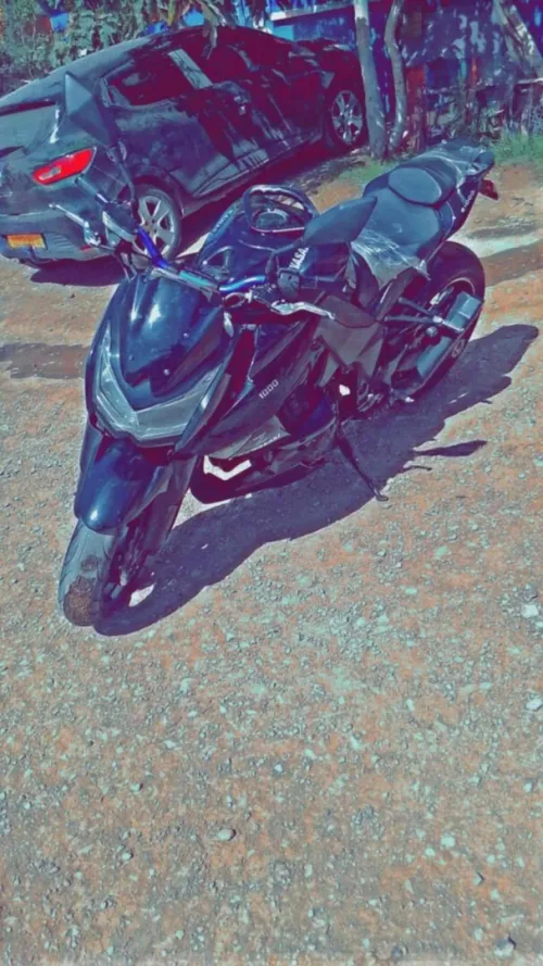 Kawasaki Z1000 sauvage 2012