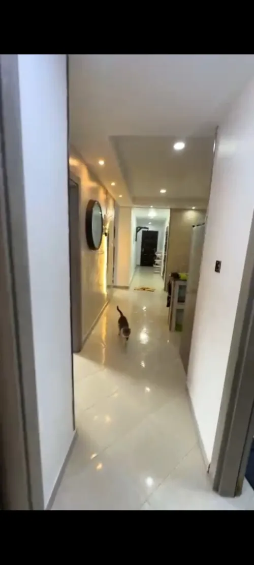 Vente Appartement F4 Alger Birkhadem