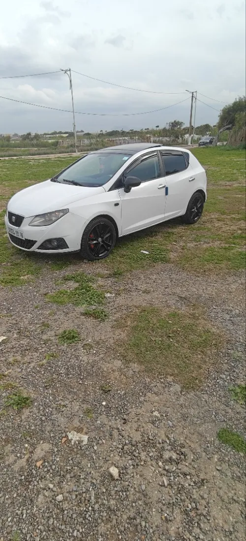 Seat Ibiza 2011 Loca