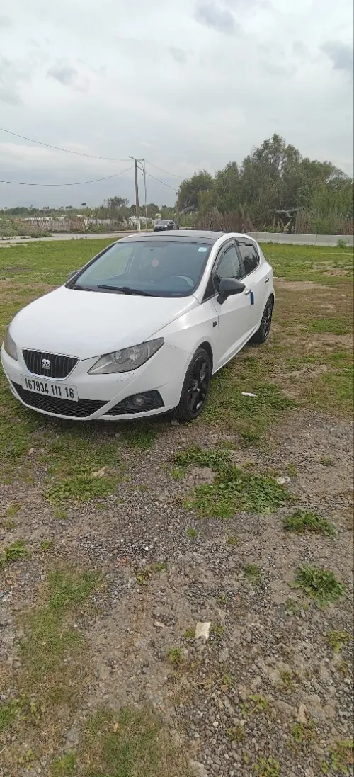 Seat Ibiza 2011 Loca