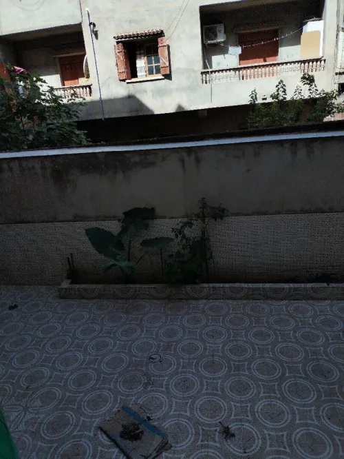 Vente Villa Blida Boufarik