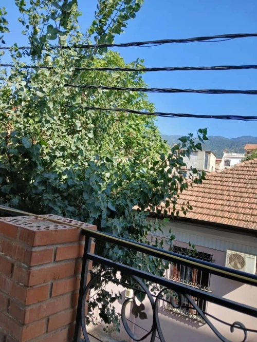 Vente Villa Blida Blida