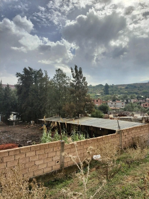 Vente Terrain Blida Bouinan
