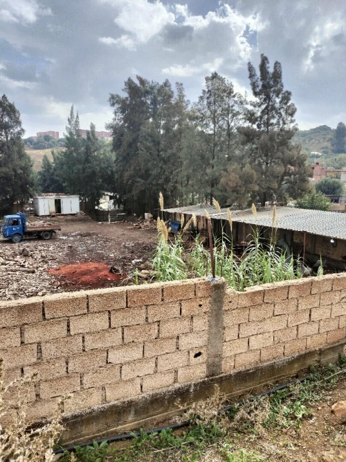 Vente Terrain Blida Bouinan